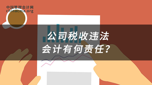 公司税收违法会计有何责任？