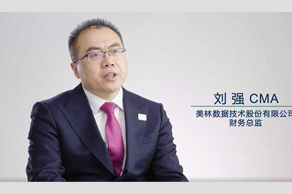 刘强美林数据技术股份有限公司财务总监