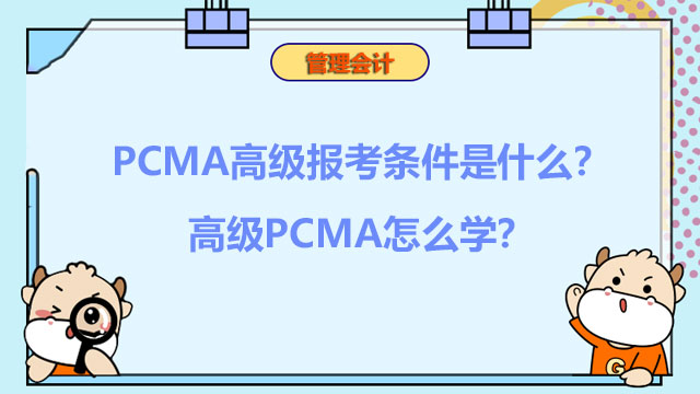 2023年PCMA高级报考条件是什么？2023年高级PCMA怎么学？